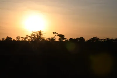 DSC_3740 (Large).JPG